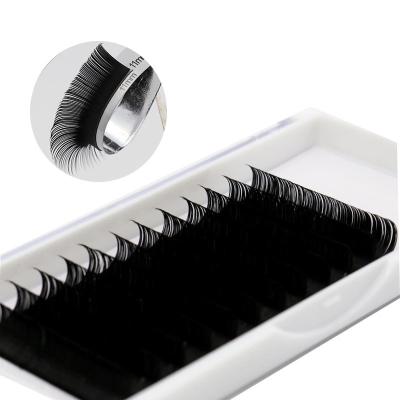 China Natural Soft Easy Fanning Eyelash Extensions Eyelash Extensions Eyelash Extensions Custom Eyelash Extension for sale