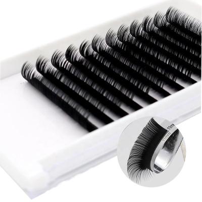 China Eeasy to make wholesale high quality volume mink eyelash extension supplies mink extensions eyelash automatic fan eyelash extension for sale