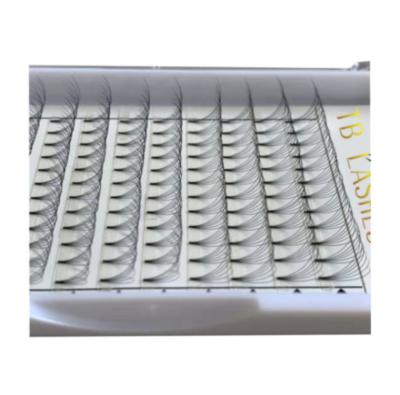 China Eeasy To Take Heat Bonded Short Root Pre Made Fans Lash Extensions Pre Made Fans Pre Made Fans Lash False Eyelashes for sale