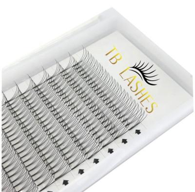 China high quality lightweight 3d 4d 5d 6d 10d pre made lash fans pre made fans eyelash extensions for sale