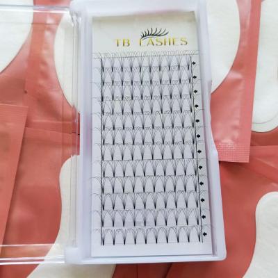 China Lightweight ODM 4D 5D 6D 10D Most Popular Private Label 0.07 0.10 Short Rods Pre Made Fans Volume Lashes for sale