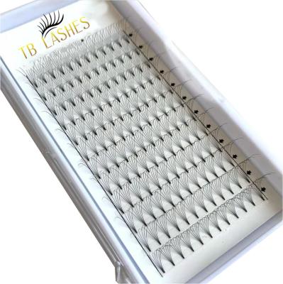 China Eeasy to take 6d pre made volume fans whips extension wholesale volume pre made fan eyelash extension seller for sale