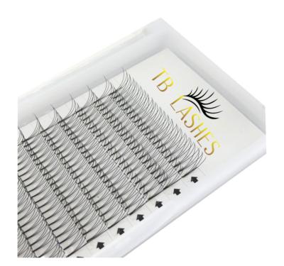 China Eeasy to take high quality pre made volume fans 3d eyelashes premade eyelash extension pointed base fans for sale