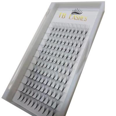 China Eeasy To Take Large Pre Made Factory Eyelash Extension 10D Pointed Fans Premade Volume Lashes for sale