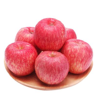 China New Fresh Season Chinese Fresh Red Fuji Apple Fruit for sale