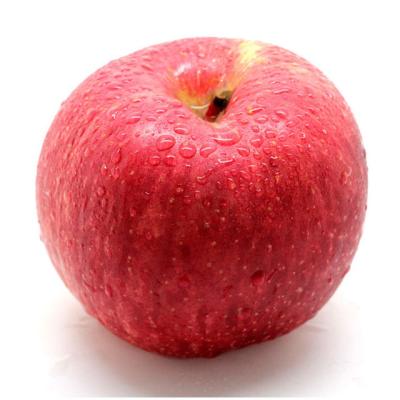 China Wholesale Fresh Supply 75# Fresh Bulk Fruit Fuji Red Apples for sale