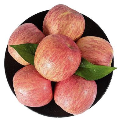 China Best Fresh Chinese Fresh Juicy Price Fruit Red Fuji Apples for sale