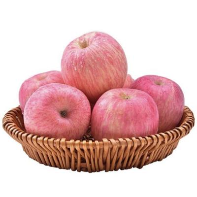 China high quality china fresh export fresh fuji red apples for sale