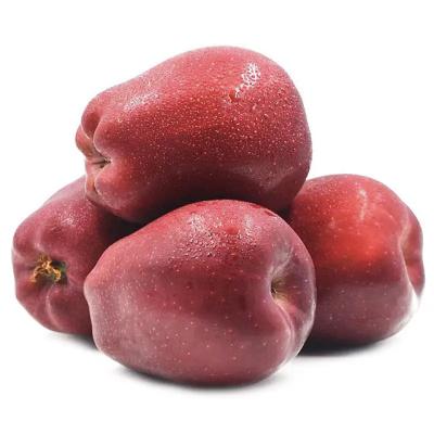 China Best price bulk china fresh huaniu fruit apple fresh for sales for sale