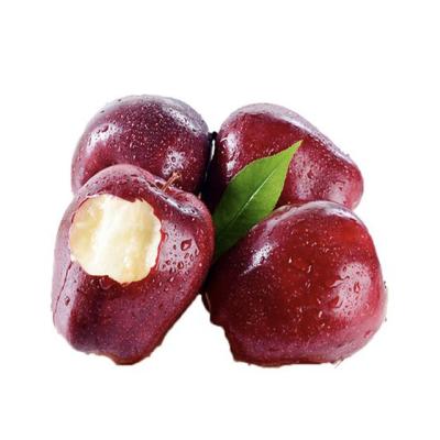 China Fresh new cultured huaniu red apple wholesale finest premium fresh quality for sale