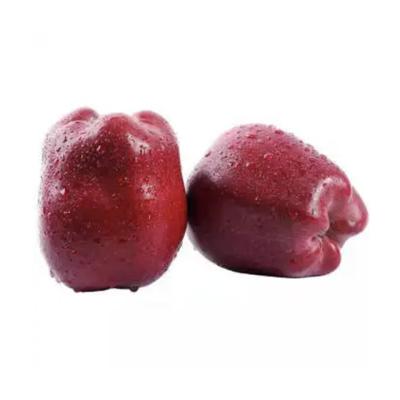 China Chinese wholesale best fresh 70# huaniu red apple for sale