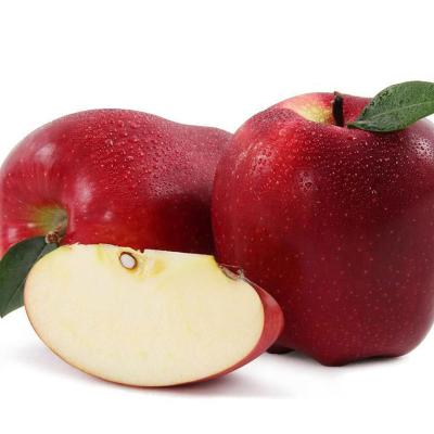 China Volume fresh red fruit export china fresh huaniu red apple for sale