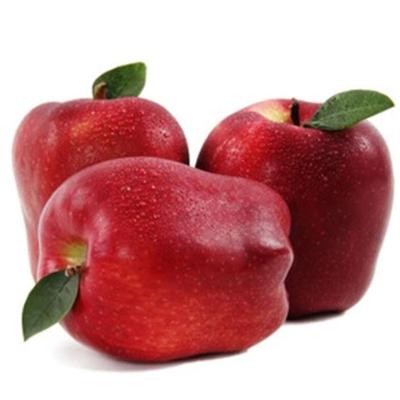 China Cheap hot sale fresh fruit market price natural fresh apple for sale