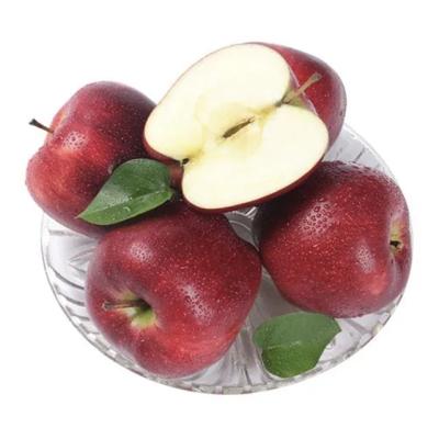 China High Quality Box 20kg Fresh Fruit Market Price Red Apple Fresh Healthy Good Prices for sale