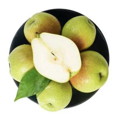 China China Fresh Sourcing Planting Best Fresh Fruit Selling Pear For Sale for sale