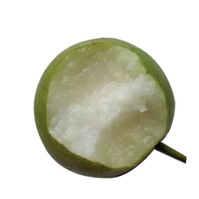 China China export professional fresh fruit green wholesale fresh pears for sale