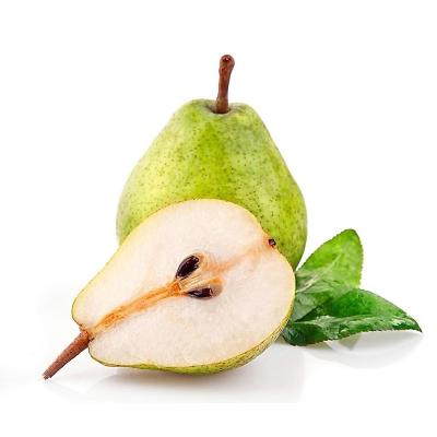 China New Cultivated Best Fresh Selling Organic Fruit Fresh Green Pear for sale