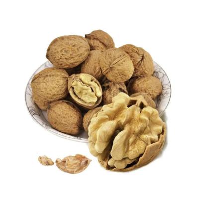 China Hot Sale Bulk Cheap Fruit Dry Dried Nuts In Shell for sale