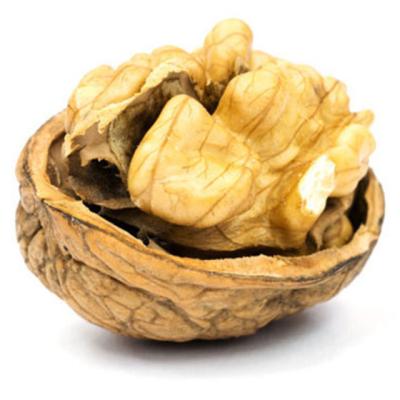 China High Grade Professional Organic Low Price Agricultural Product Supply Dried Organic Cheap Walnuts for sale