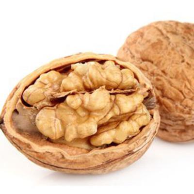 China Dried Nutrition Nuts brown halves kernels walnut for sale