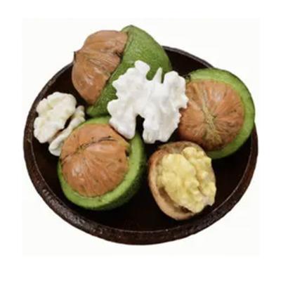 China 100% natural spare china dry bulk fresh walnuts in shell for sale for sale