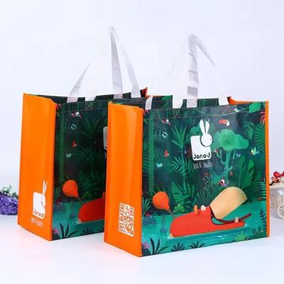 China Eco - Friendly Reusable Packaging Polypropylene Laminated Non Woven Shopping Tote Rpet Pp Bag With Custom Logo for sale