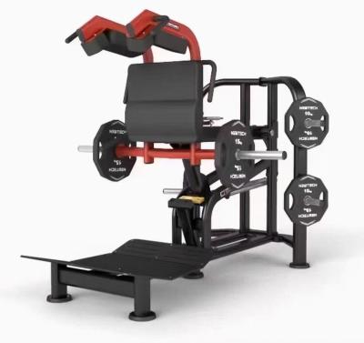 China Commercial Use New design strength training gym equipment body building plate for sale