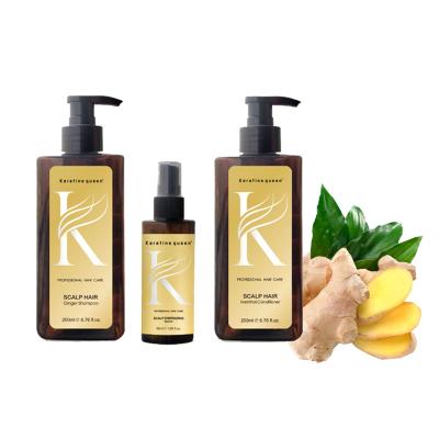 China Professional Color-protecting Hair Care Anti-dandruff Color-protecting Oil Control Ginger Hair Autumn Shampoo Organic Anti- Hair Loss Shampoo for sale