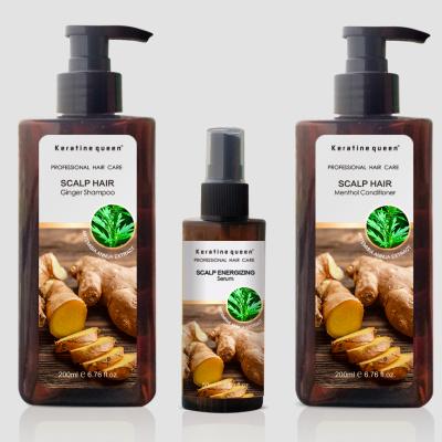 China Color-Protecting Private Label Ginger Plant Extract Hair Growth Anti Hair Loss Hair Color-Protecting Shampoo for sale