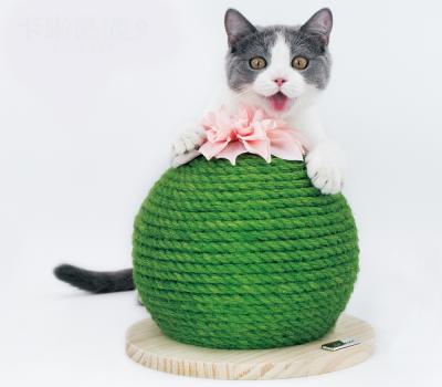 China Viable Board Cat Toys Portable Cat Scratch Climbing Claw Paw Cactus for sale