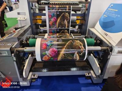 China Impresión de etiquetas adhesivas de primera calidad con una máquina de impresión flexo de manga en venta