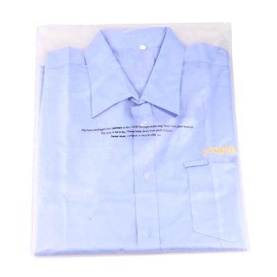 China Disposable Customized Transparent Clothing Packing Plastic Pouch T-shirt Package Bag Retail Packing Pouch Bag for sale