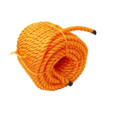 中国 Durable Professional Manufacturer Direct Sale Diameter 4 To 40mm Durable Color Fish Rope 販売のため