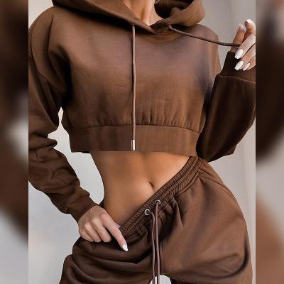 China Anti-wrinkle stain European women's plush sweater two-piece set of sweater and American sports hooded leisure suit wholesale for sale