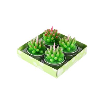 China Wholesale Factory Votive Simulation Candle POSINDA Cactus Succulent Candle Set Birthday Paraffin Wax Candles Creative Candle Set for sale