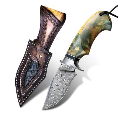 China Fixed Blade Bowie Knives Outdoor Damascus Steel Non-variable Stabilized Wood Hunting Knife With Leather Sheath for sale