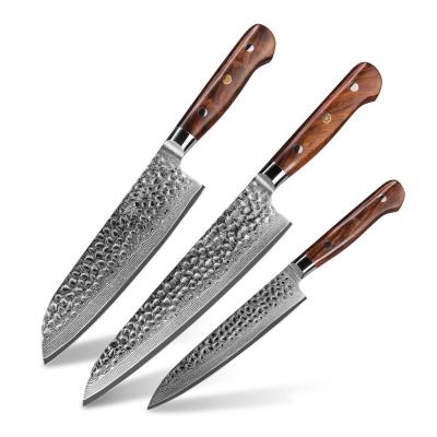 China New Design Disposable Professional Chef Knife 3pcs Kitchen Knife Set With Damascus Steel Blade for sale