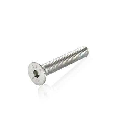 China Stainless Steel Hexagon Metric Socket Head Bolts for sale