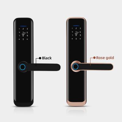 China Smartphone Control Fingerprint Smart Door Locks DC6V Door Handle Lock for sale