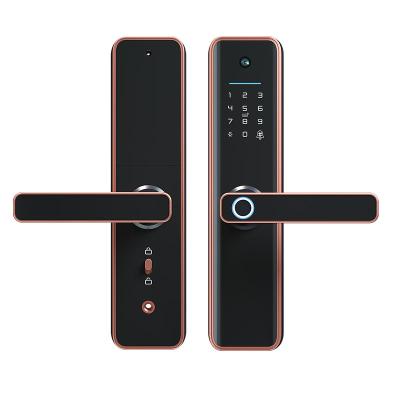 China Anti Corrosion Smart Camera Door Lock Password Biometric Smart Camera Lock for sale