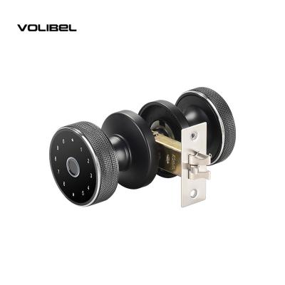 China Waterdicht Vingerafdruk Smart Door Lock Meerdere kleuren Outdoor Smart Lock Te koop