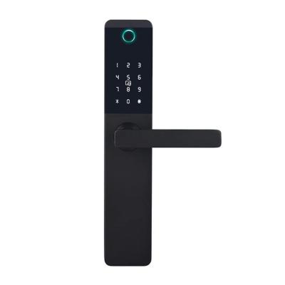 China CE Certificate Wifi Smart Lock Outdoor Smart Door Lock With Semiconductor Sensor for sale