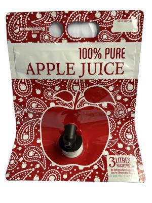 China NY Material Bag In Box Liquid Packaging Bib With Spout For Apple Juice zu verkaufen