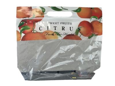 Chine Emballage alimentaire personnalisé Sac fermeture à glissière debout pour les fruits avec trou de perforation à vendre