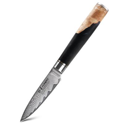 China 67 Layers Durable Damascus VG10 Steel Paring Knife Fruit Core For Kitchen Tools for sale