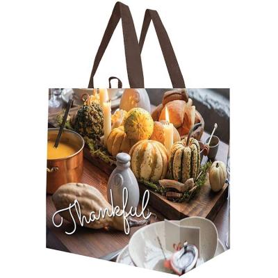 China Glossy Laminated Offset Printing 130gsm Eco Washable PP Woven Shopping Bag for sale