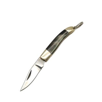 China Slide Open 1/6 Natural Shell Handle Stainless Steel Mini Pocket Knife Portable Gift Unpacking EDC Folding Knife for sale