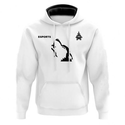 China Anti Shrink Custom Hoodie Mens Unique With Your Design Plain Zipper for sale