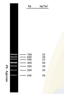 China DNA Marker Agarose Gel PCR Kit DNA Ladder 700bp For Molecular Biology Tests for sale