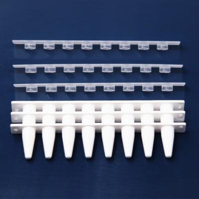 Chine Tube en plastique optique de 8 voyages de la couverture pp de marbre de DNase de RNase de consommables libres de laboratoire à vendre